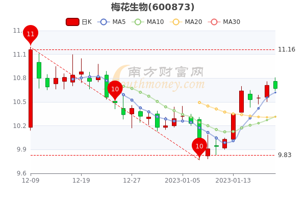 梅花生物股票行情走势深度解析及预测分析