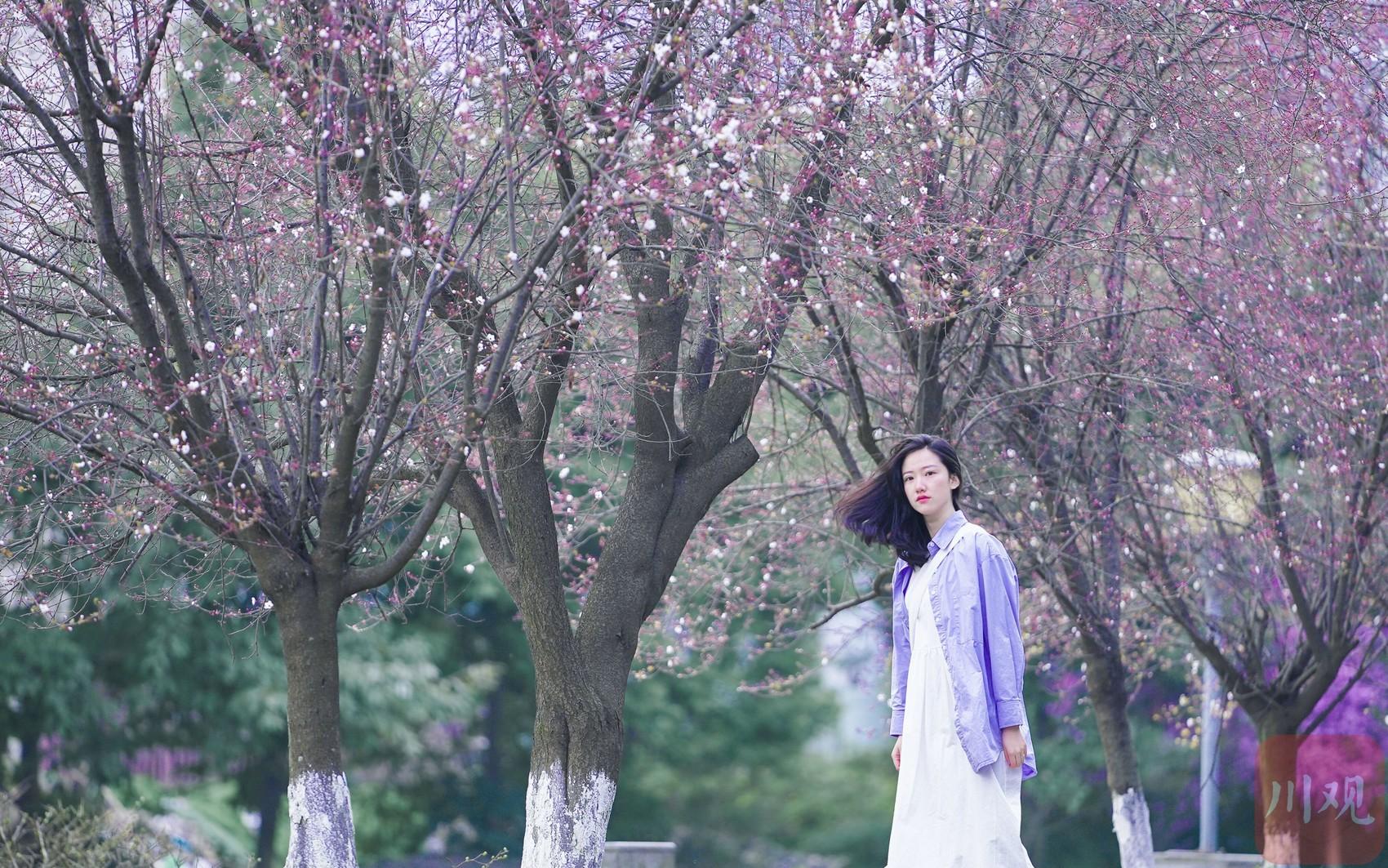 视吧最新版下载,引领时代的视频交流平台崛起及其影响力