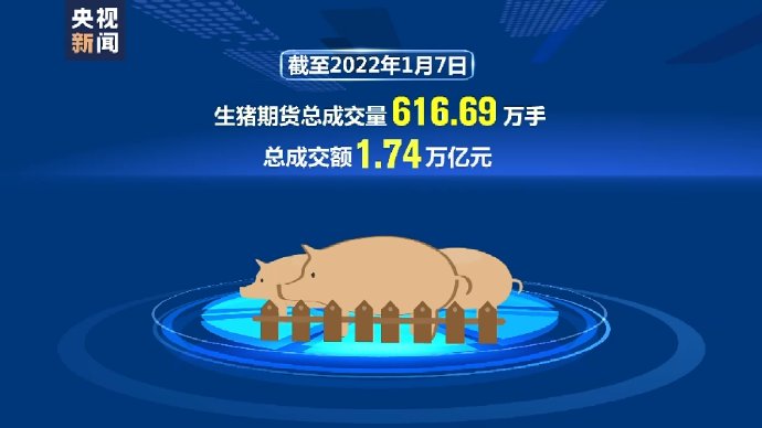 生猪期货动态,心灵与自然的交易之旅