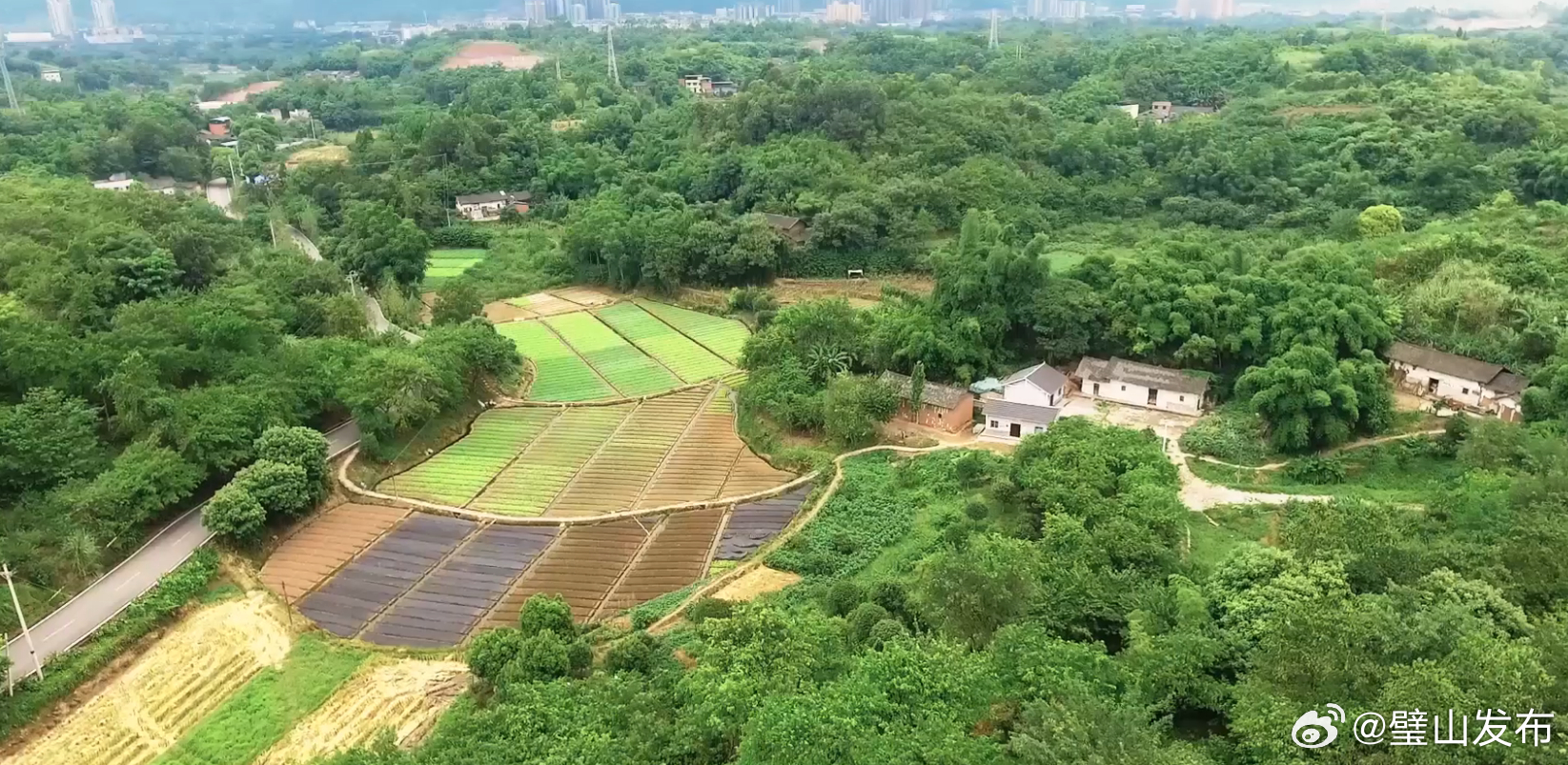 青杠资讯,友情的温馨日常与爱的陪伴时光