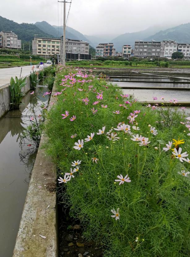 金溪新鲜资讯,自然美景的治愈之旅探索之旅
