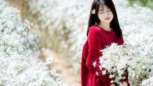 陈平江婉最新章节免费阅读,精彩内容抢先看!