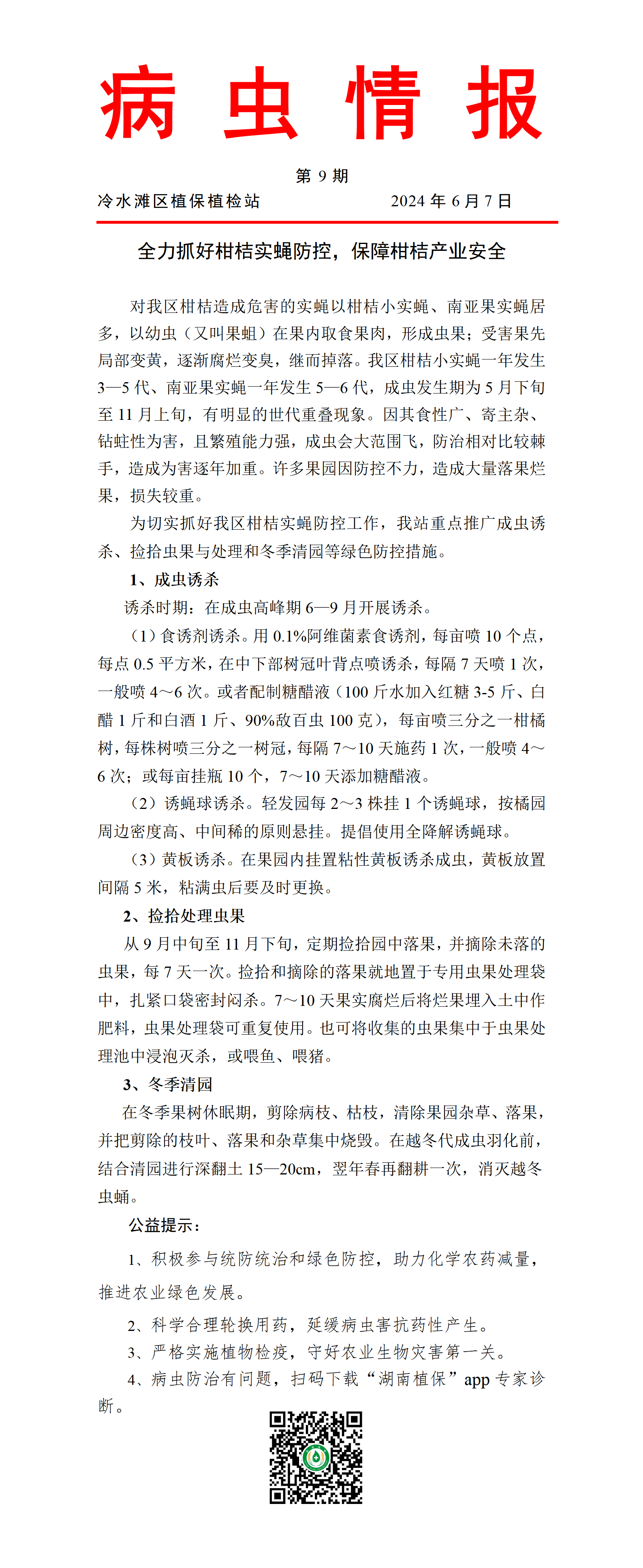 最新虫情概述与动态分析