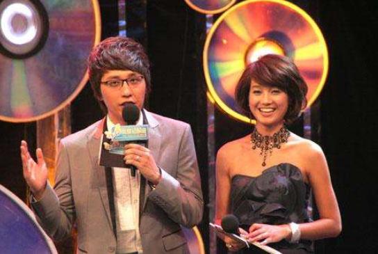 演员海峰,演艺之路的闪耀之星