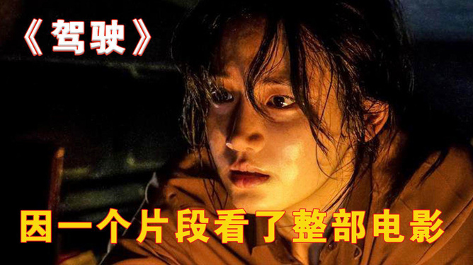 韩国最新惊悚电影,深度探究、观点阐述及影评热议