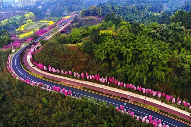 四川乐山最新资讯概览与观点论述