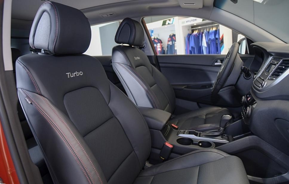 最新车模资讯，与自然共舞，启程宁静的内心探索之旅