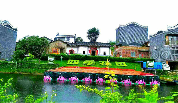 贵港四季花田最新资讯——探索花田里的美丽与温馨日常