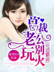 宠婚最新免费阅读，一场关于爱与责任的深度探讨