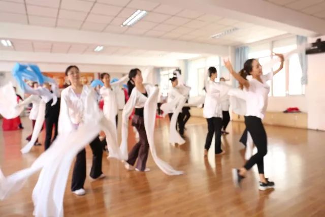 向右最新动态，小巷中的意外发现与惊喜探索