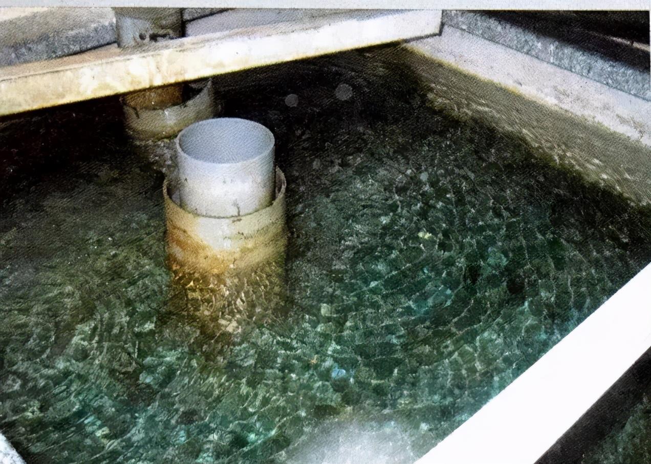 超密演员,舞台背后的神秘面纱