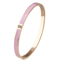 新款手镯，自然美景的轻松探索之旅