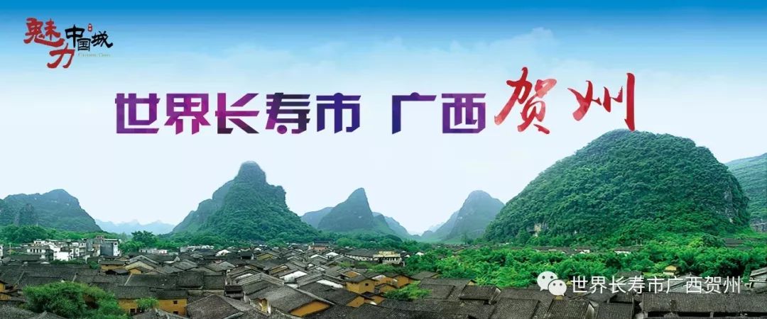 贺州电视台,自然美景的探索之旅,带你远离尘嚣,探寻内心平静