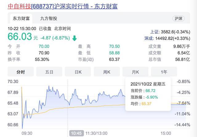中签上市日深度解析及观点阐述,新股上市之路的洞察与探讨