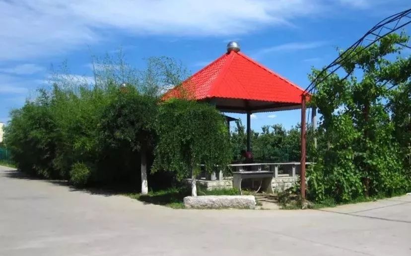 顺义南彩镇最新动态更新,关注顺义南彩镇最新发展动态