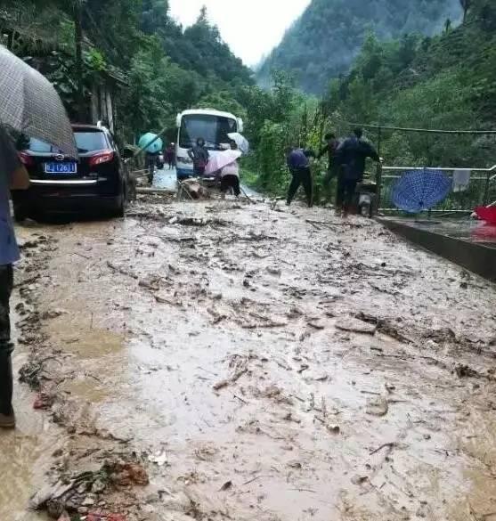 K1561最新运行线路全面解析与旅行指南，你的出行必备参考！