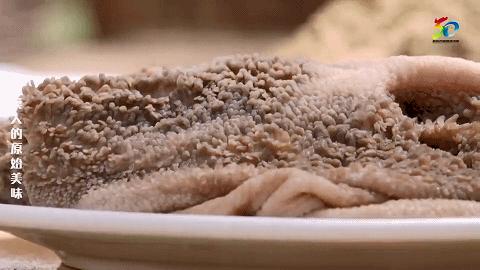 帕尔哈提的温馨日常,爱与陪伴的奇妙时光