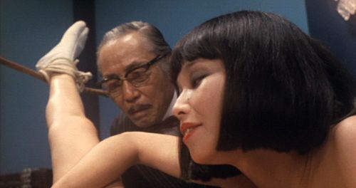 箱中女电影，深度探究其魅力与深远影响