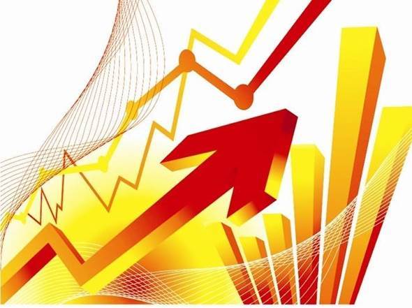 股票股利发放全解析,初学者与进阶用户适用的步骤指南