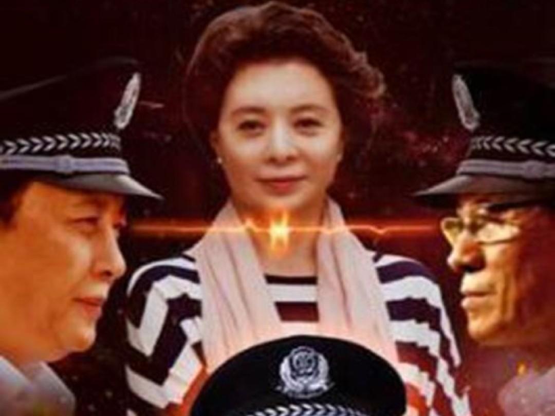 国内最新反腐剧,清风正气与家的温暖之较量