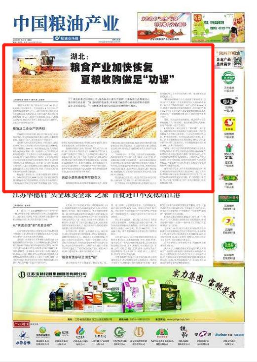 湖北掌大新版,时代背景下的创新里程碑