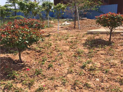 新泰陶然名城最新动态揭秘，友情的温馨日常更新