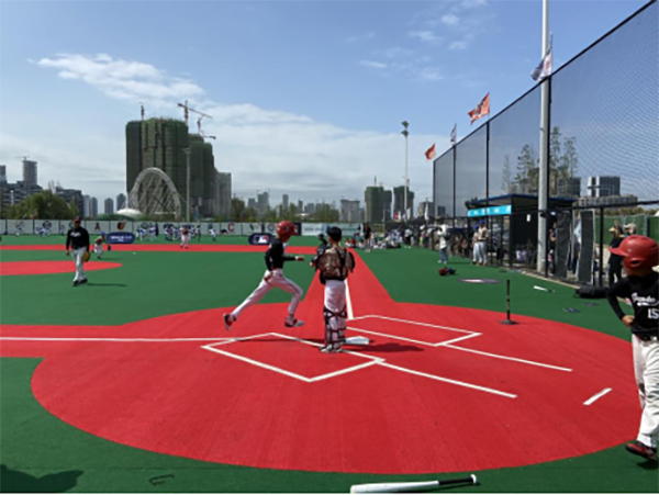 棒球比赛场地详解,场地特点与优劣分析