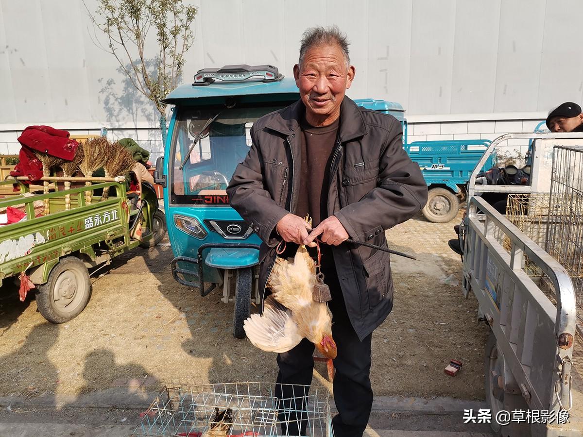 科技新品亮相,野生河蚌价格揭秘,体验未来生活新纪元