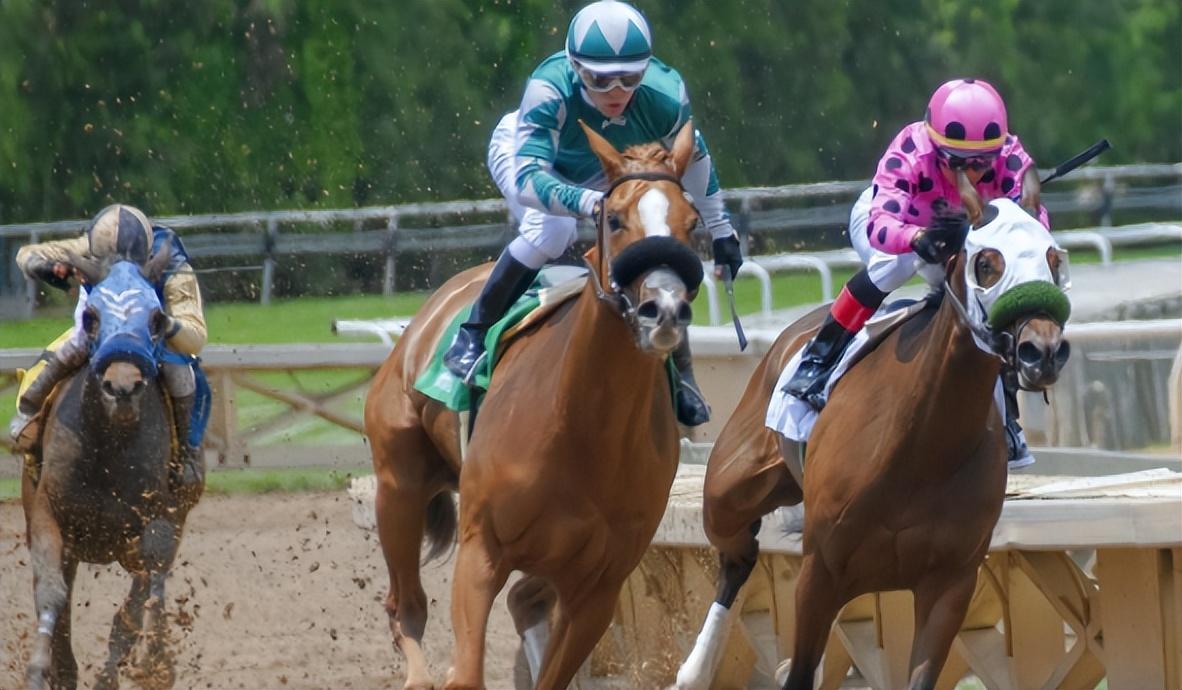 赛马比赛视频,速度与友情的极致展现