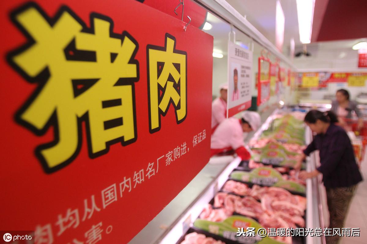 猪肉价格走势深度解析,探寻变化中的机遇与自我超越之路