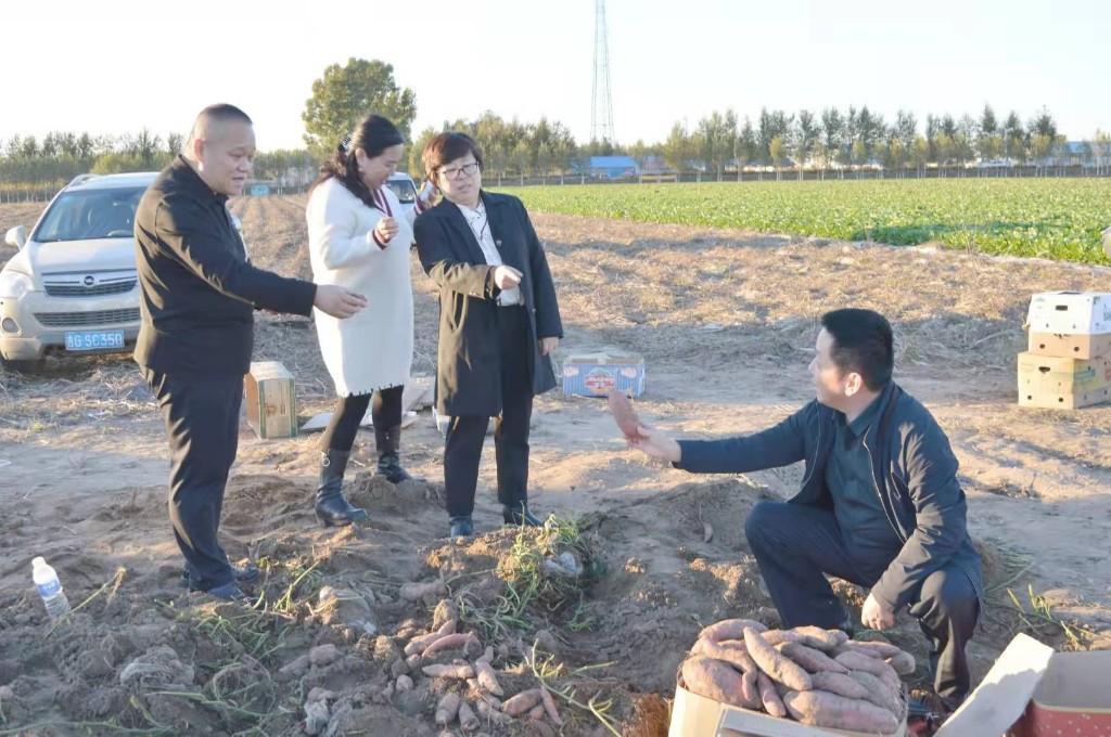 梨树楼房租赁市场现状解析与个人观点分享