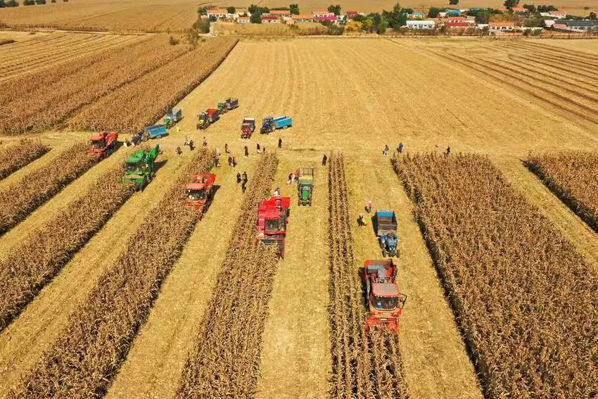 获嘉土地出售最新资讯，小巷中的独特小店探秘！