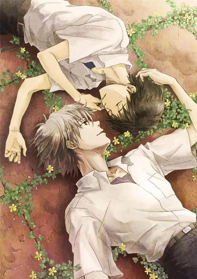 动漫男男H,屏幕与现实中的力量与鼓舞人心的成长之路