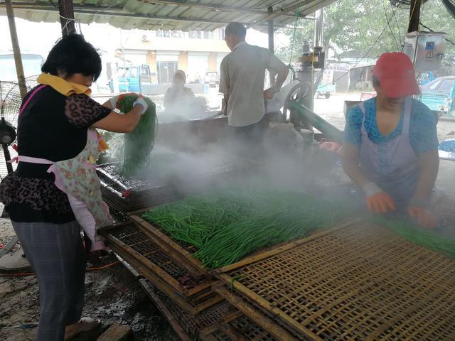 山东大蒜行情最新动态，全面解析山东大蒜市场指南