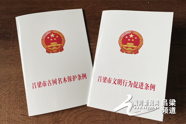 立法动态,法律发展的前沿观察与立法进展报告