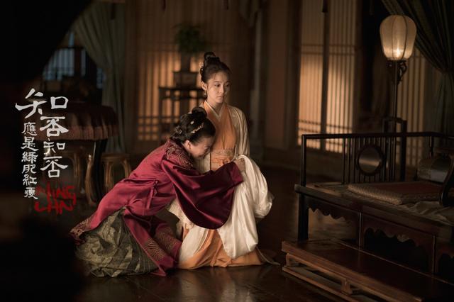 知否电视剧全集免费观看，共度温馨家庭时光