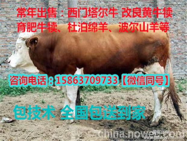 工程机械设备价格 第67页