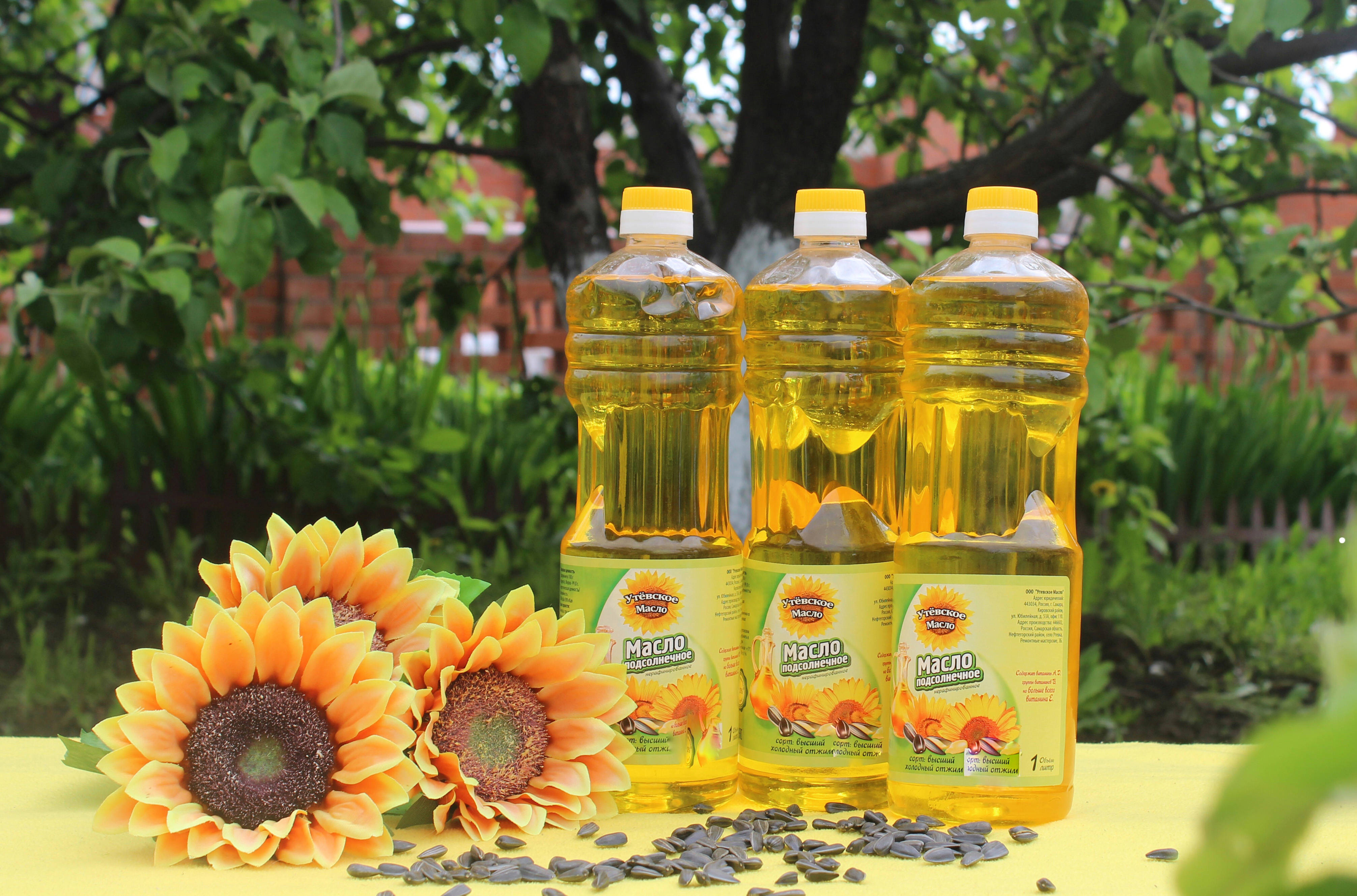 葵花籽油行情深度解析,绿色之旅探寻内心平静的源泉