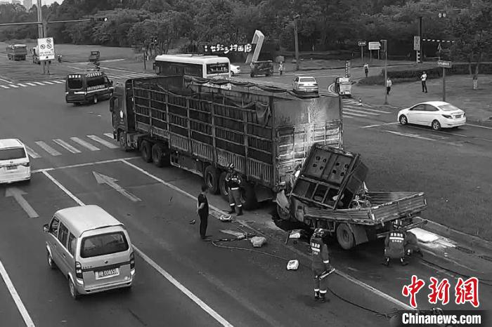 苏州交通事故最新报道,路上的波折与自然的疗愈之路