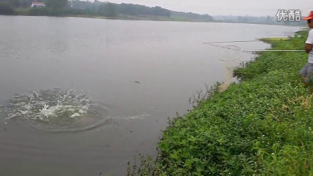 探秘水库垂钓圣地与隐藏垂钓小店,最新垂钓视频分享