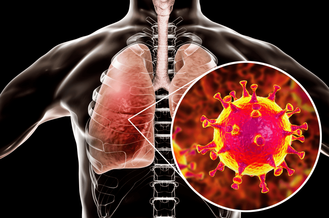 睢宁最新肺炎疫情及防控指南更新发布