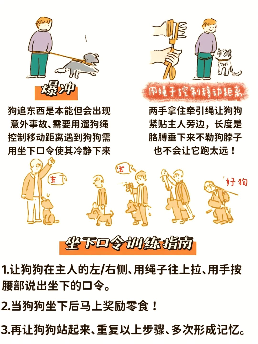 ??最新潮流遛狗方式?