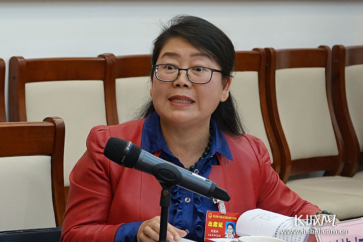 刘艳红最新观点论述解析