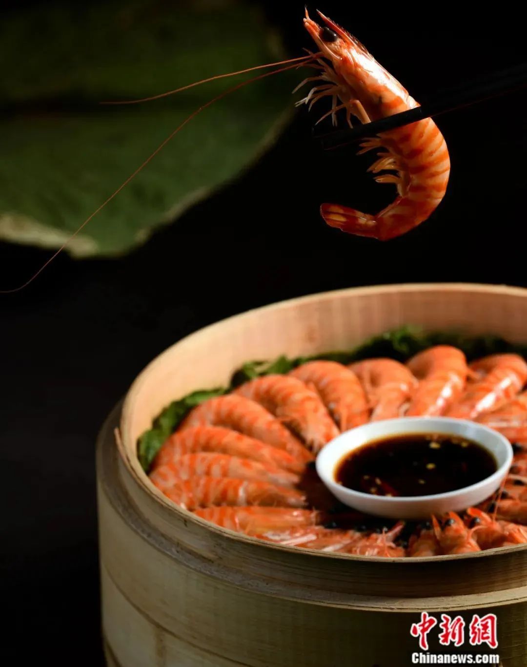 探索特定领域中公虾米最新的崛起与影响力