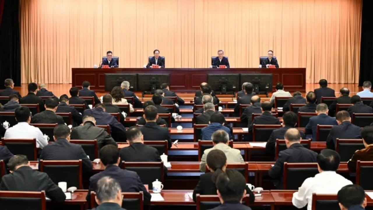 中央最新督察行动，深度分析与坚定立场解读