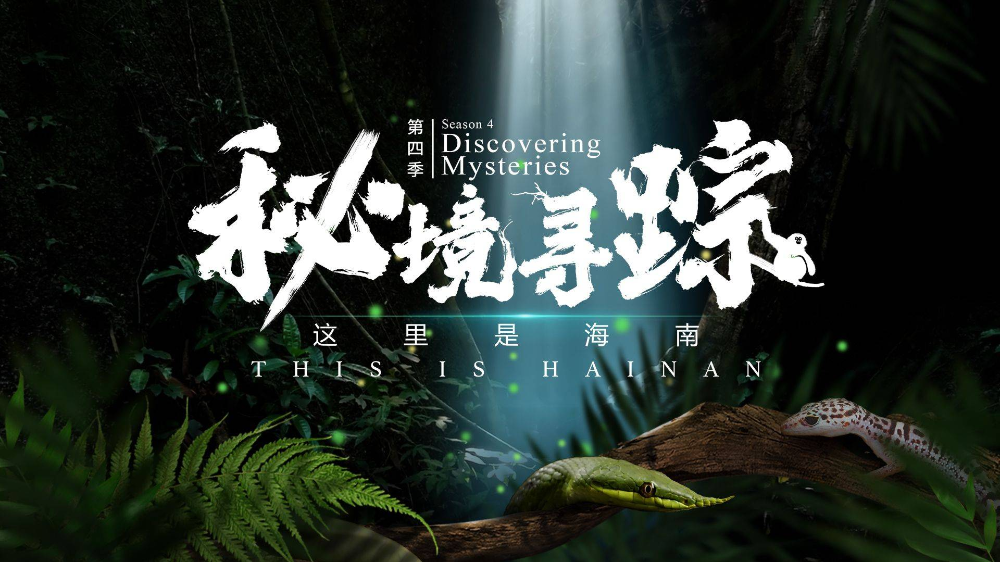 寻觅密最新观点阐述