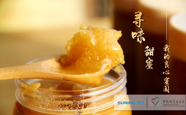 寻觅密最新观点阐述