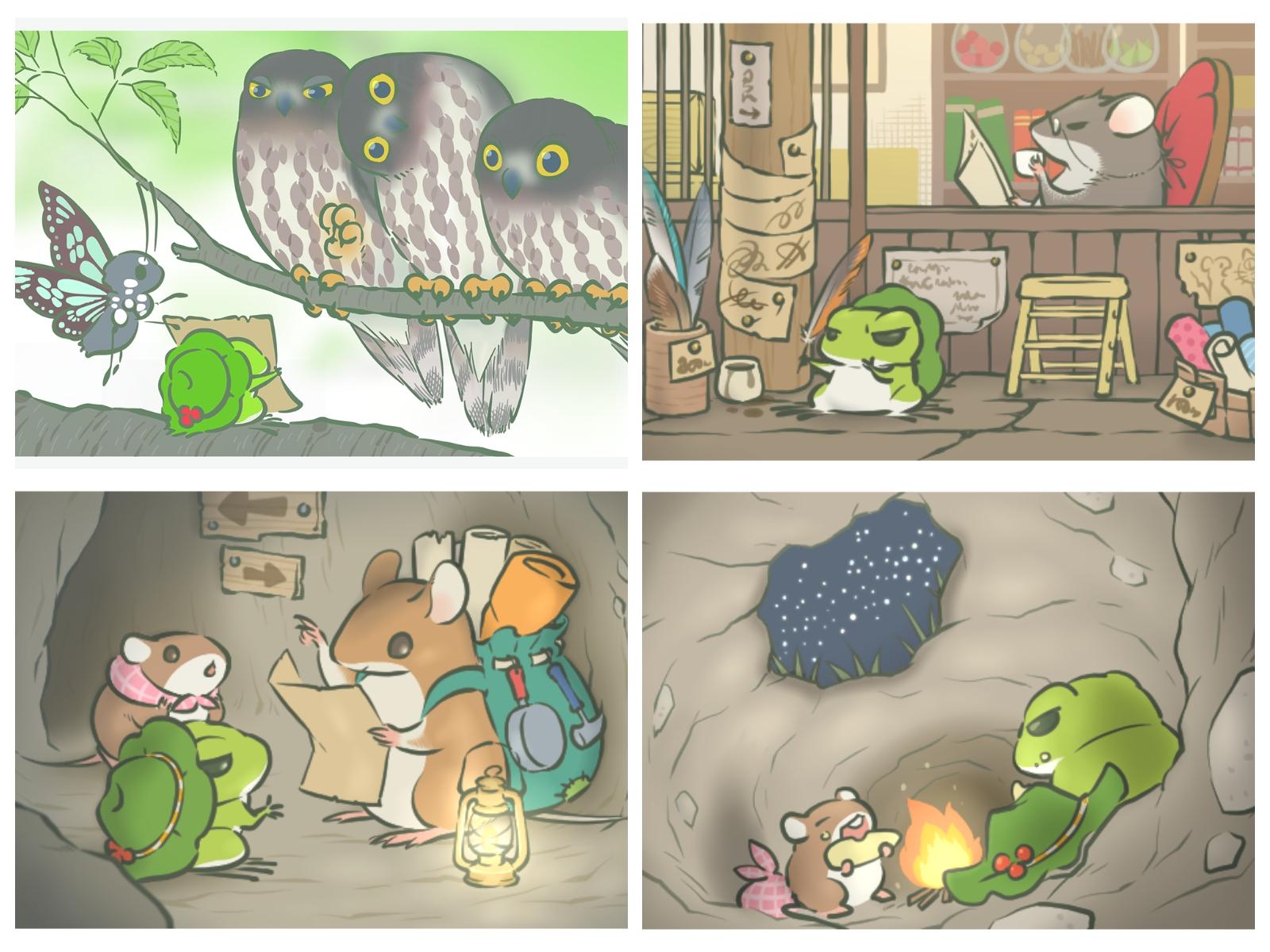 揭秘神奇两栖生物世界，最新青蛙品种大揭秘