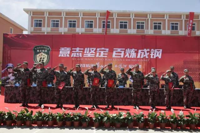 中国最新钢铁发展，机遇与挑战并存的道路探索