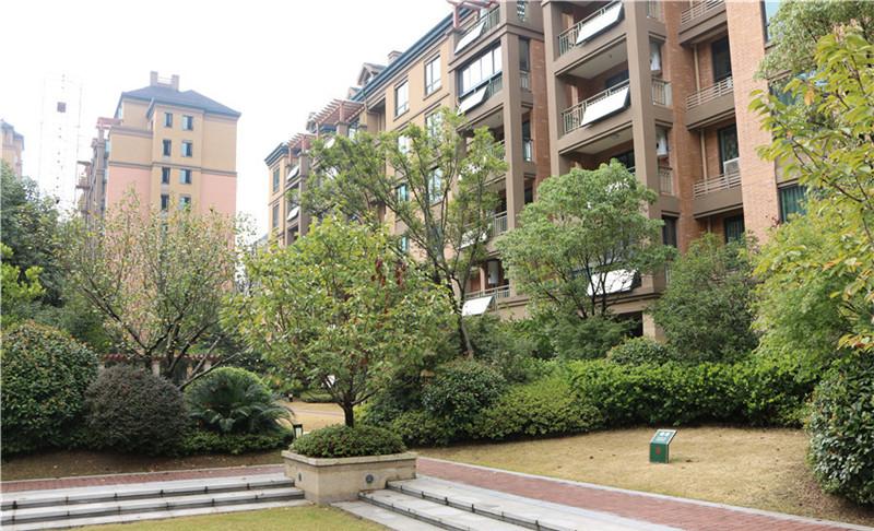 最新番讯与学习变革，自信与成就感的源泉